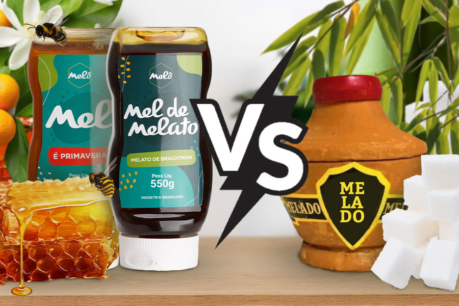 Entenda a Diferença Entre Mel, Melato e Melado